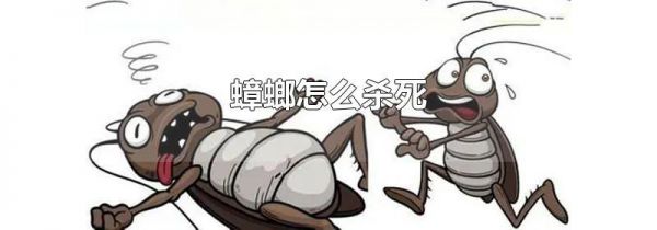 蟑螂怎么杀死