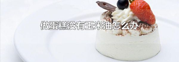 做蛋糕没有玉米油怎么办
