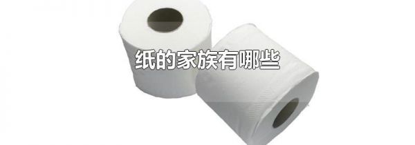 纸的家族有哪些