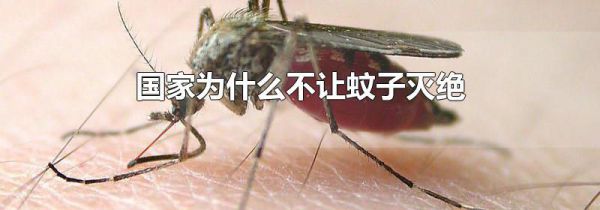 国家为什么不让蚊子灭绝