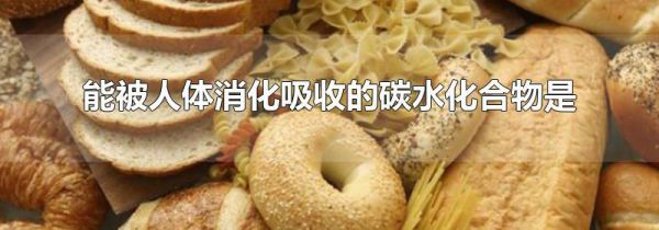 能被人体消化吸收的碳水化合物是