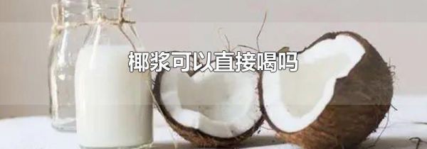 椰浆可以直接喝吗