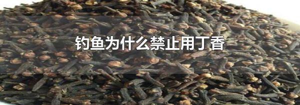 钓鱼为什么禁止用丁香