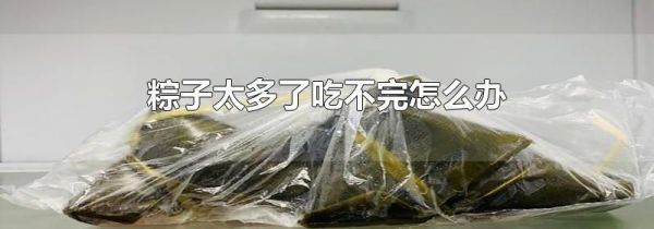 粽子太多了吃不完怎么办