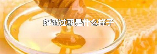 蜂蜜过期是什么样子