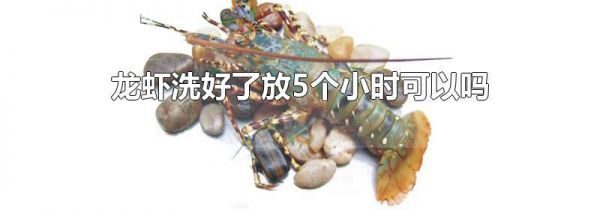 龙虾洗好了放5个小时可以吗