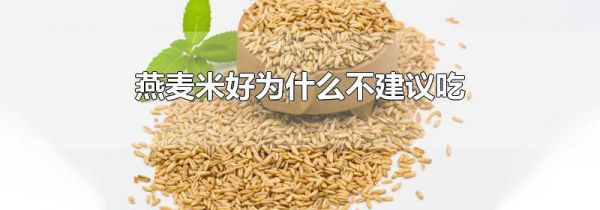 燕麦米好为什么不建议吃
