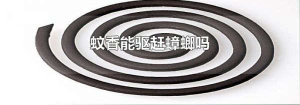 蚊香能驱赶蟑螂吗