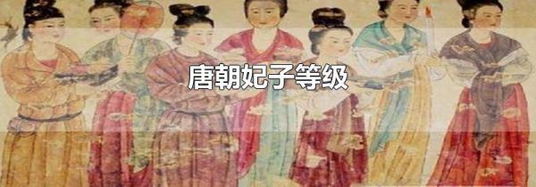 唐朝妃子等级