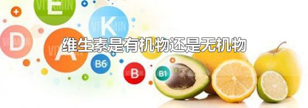 维生素是有机物还是无机物