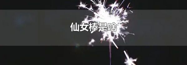 仙女棒是啥