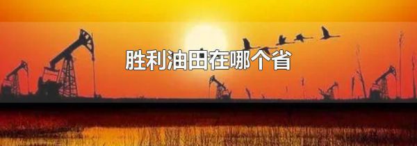 胜利油田在哪个省