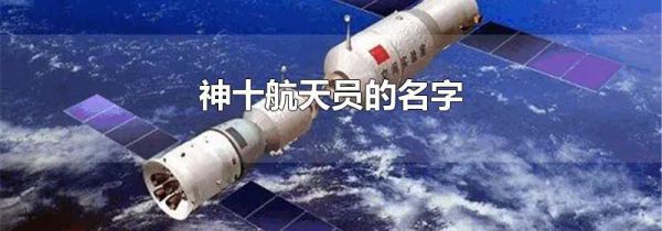 神十航天员的名字