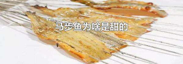 马步鱼为啥是甜的