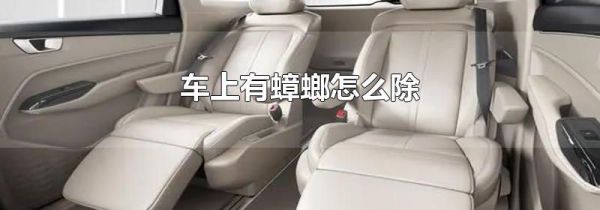 车上有蟑螂怎么除