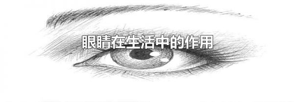 眼睛在生活中的作用