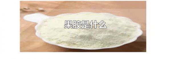 果胶是什么