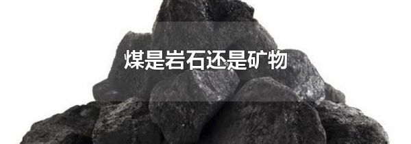 煤是岩石还是矿物