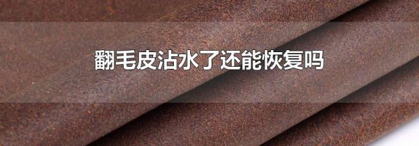 翻毛皮沾水了还能恢复吗
