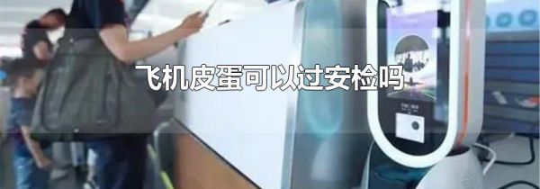 飞机皮蛋可以过安检吗