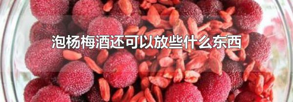 泡杨梅酒还可以放些什么东西
