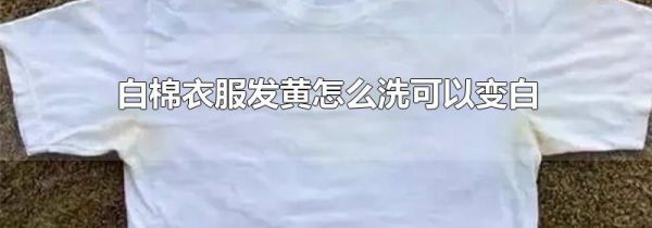 白棉衣服发黄怎么洗可以变白