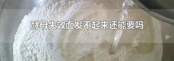 酵母失效面发不起来还能要吗
