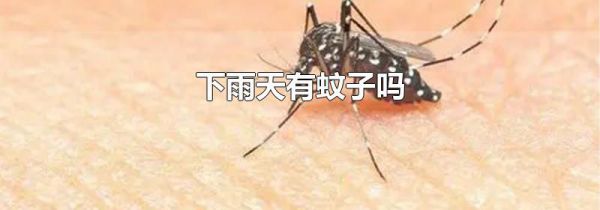 下雨天有蚊子吗