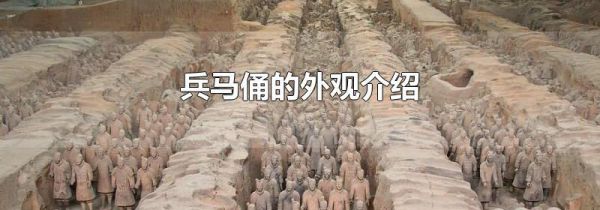 兵马俑的外观介绍
