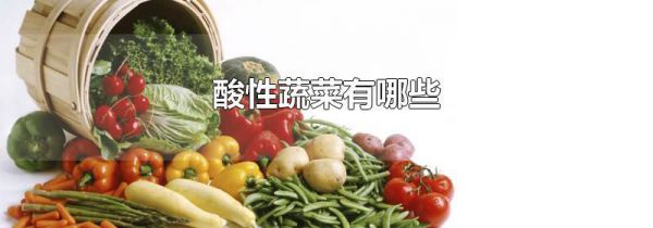 酸性蔬菜有哪些