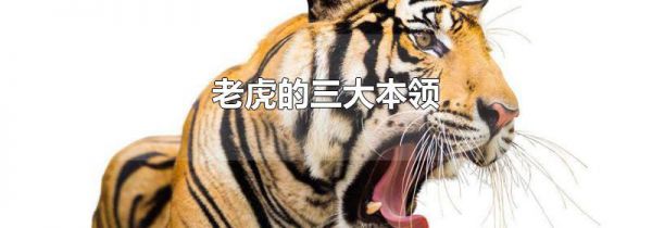 老虎的三大本领