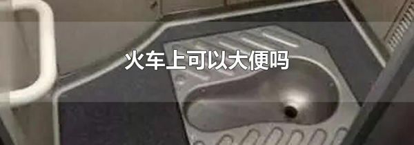 火车上可以大便吗