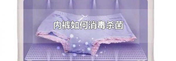 内裤如何消毒杀菌