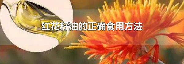 红花籽油的正确食用方法