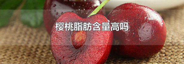 樱桃脂肪含量高吗