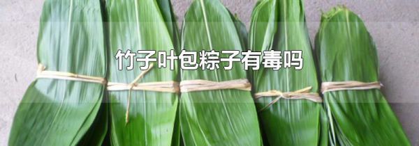 竹子叶包粽子有毒吗