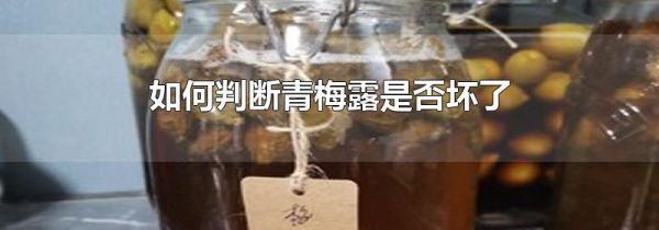 如何判断青梅露是否坏了