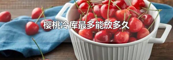 樱桃冷库最多能放多久
