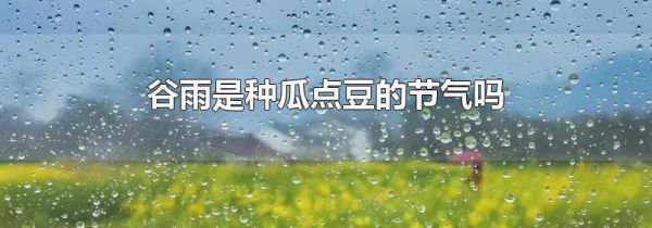 谷雨是种瓜点豆的节气吗