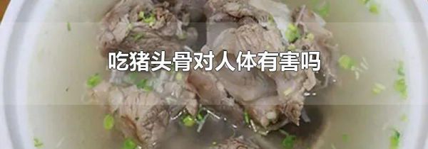 吃猪头骨对人体有害吗