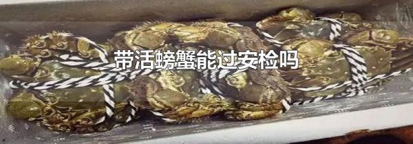 带活螃蟹能过安检吗