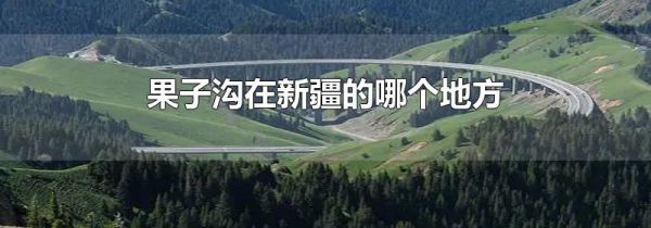 果子沟在新疆的哪个地方