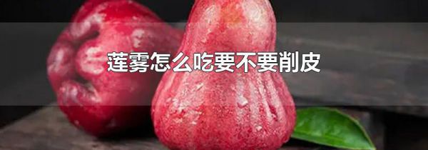 莲雾怎么吃要不要削皮