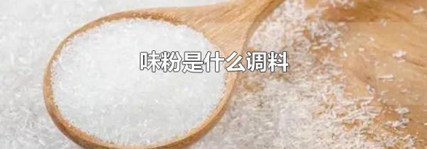 味粉是什么调料