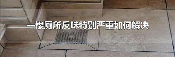 一楼厕所反味特别严重如何解决