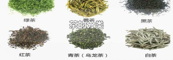 茶的分类