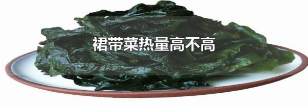裙带菜热量高不高