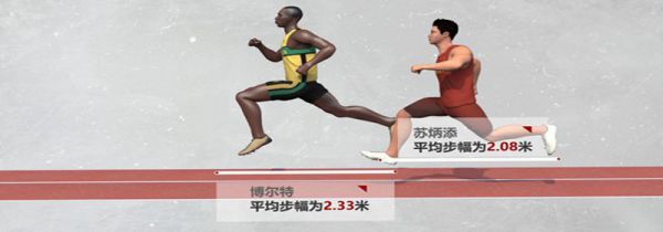 步幅与身高的关系