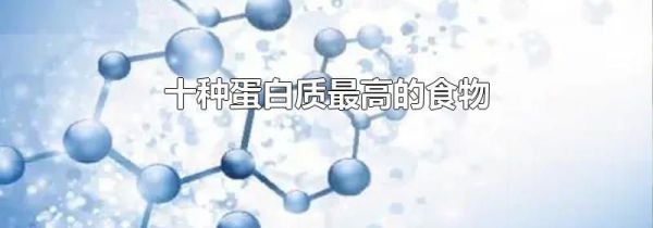 十种蛋白质最高的食物