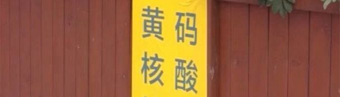 黄码是什么意思？